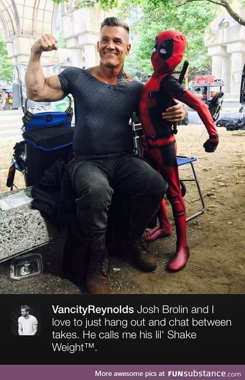 Obligatory upload of Ryan Reynolds' latest tweet