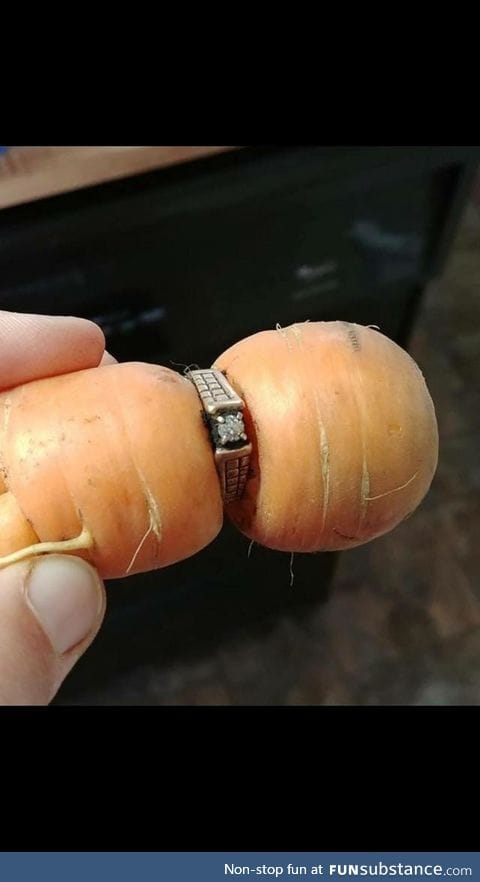 Diamond ring missing since 2004 turns up on garden carrot