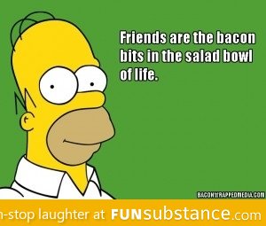 Well said Homer, well said