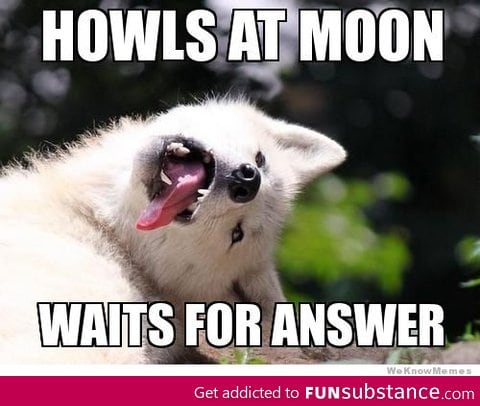 Oh Moon Moon...