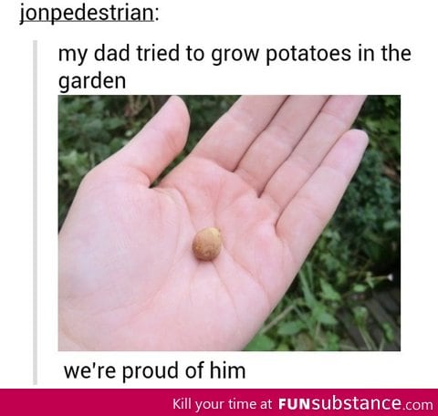 Growing potatoes