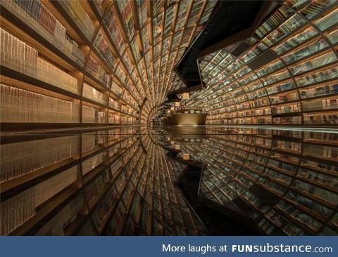 Black mirrored flooring and arched shelves create the appearance of a tunnel of books