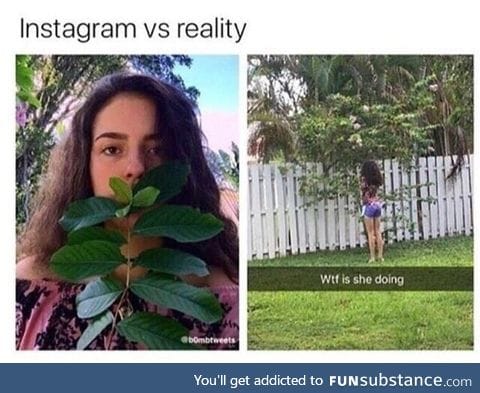 Instagram vs reality