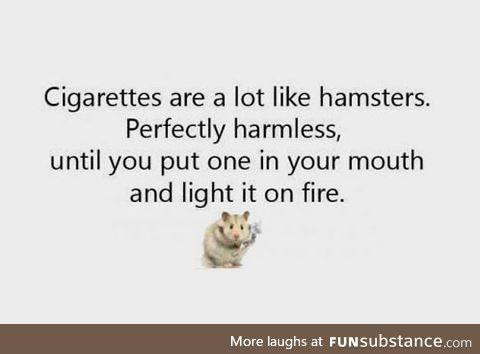 Comparing cigarettes with hamsters