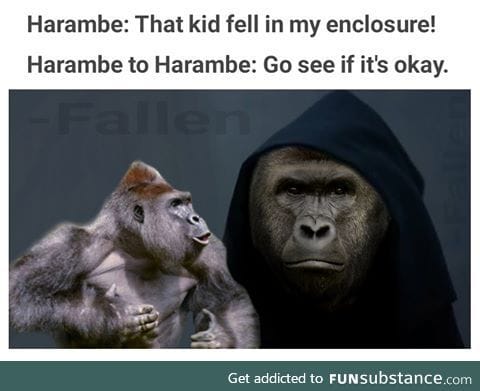 This being the last decision harambe ever made