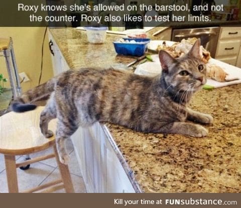 Roxy is a smart girl