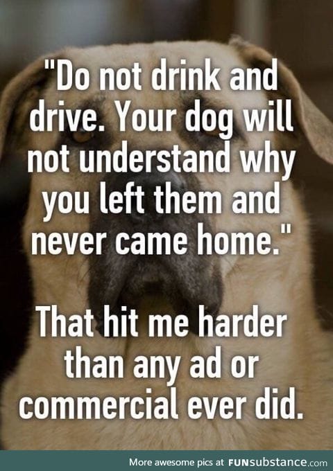 NEVER drink and drive