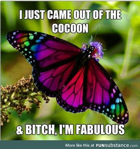 F**in' Fabulous!