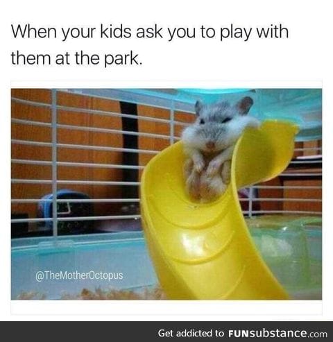 Playground is ageist