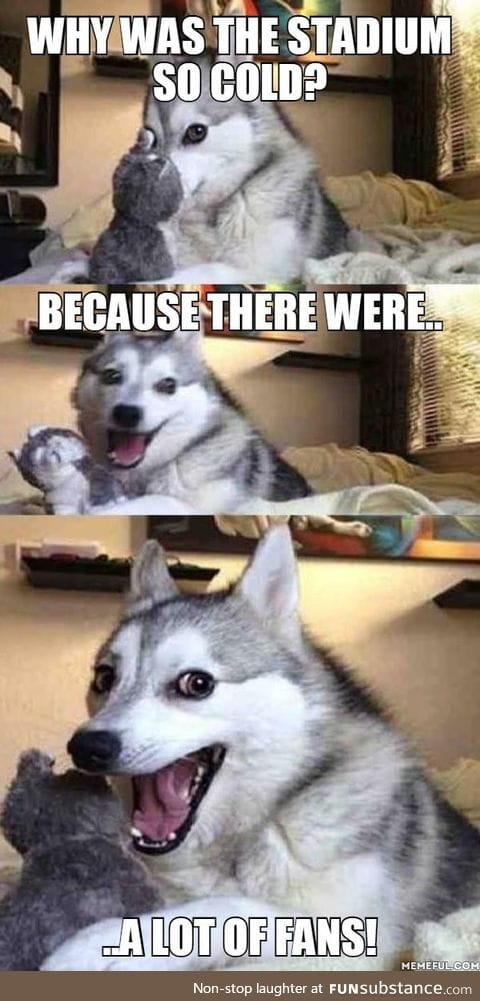 Such pun, much wow