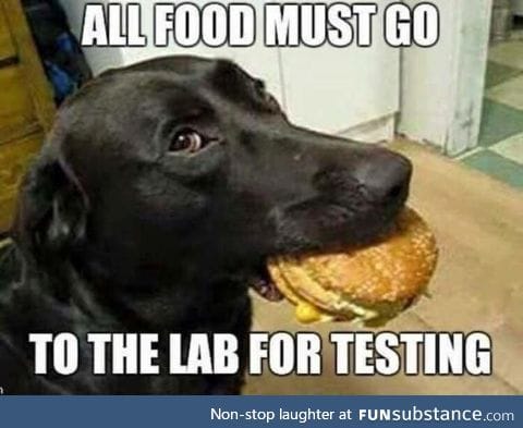 All food must be tested