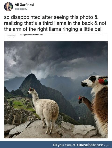 Llama llama llama