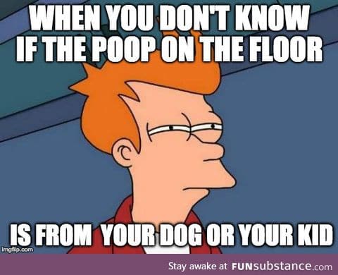 The joys of potty training