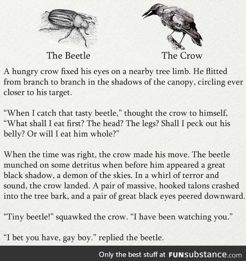 My friend sends me random shit 44.0 - That beetle got no chill