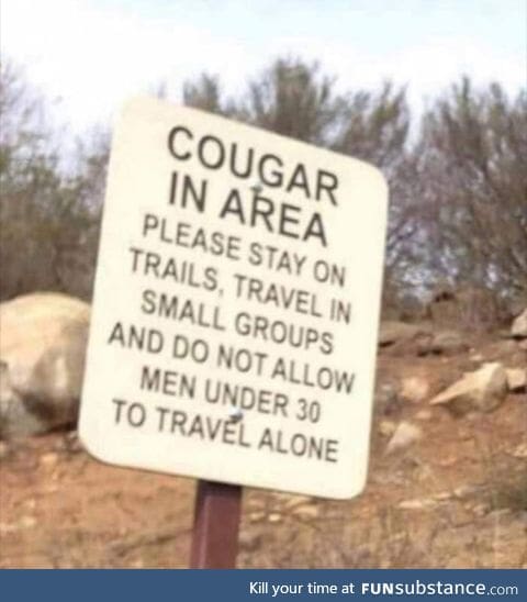 Cougar in the wild