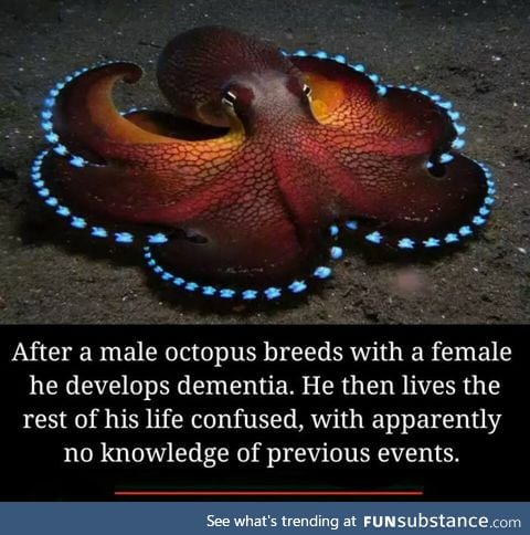 That must be some good.......Octopussy