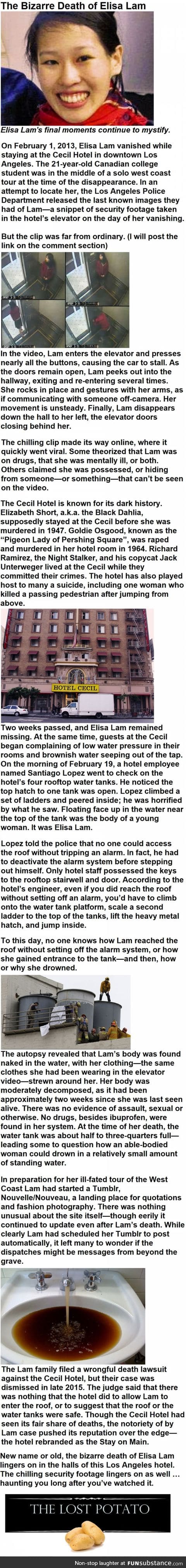 The Bizarre Death of Elisa Lam