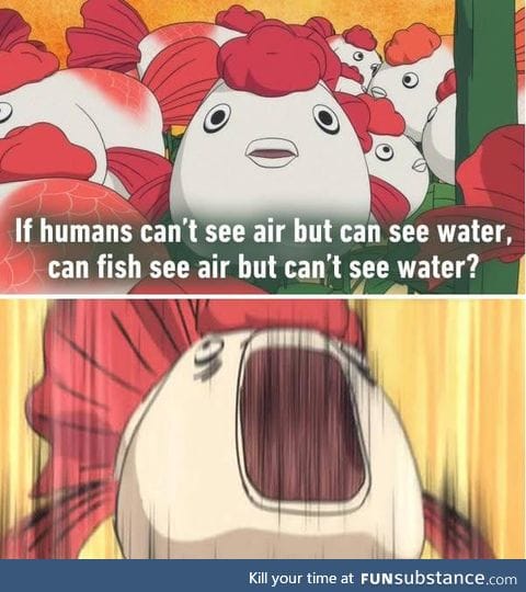 #FishPhysics