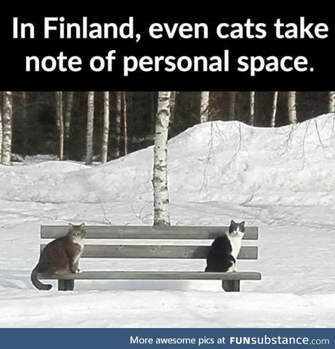 Finland at its best