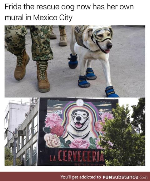 Frida es un Bueno Niña