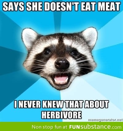 Lame Pun Raccoon