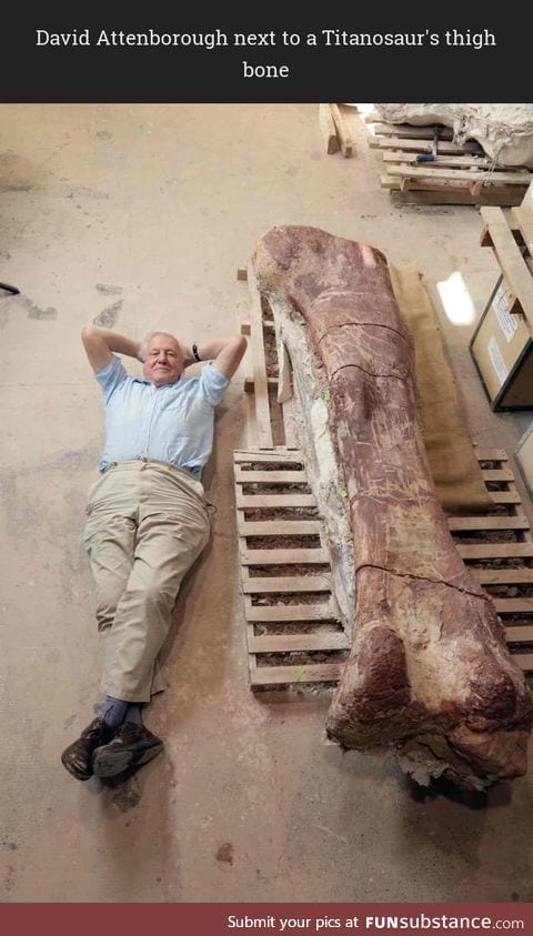 Titanosaur is huge!