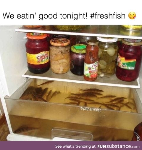 Keep the fish fresh