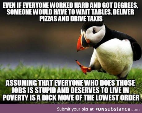 Economically conscious puffin