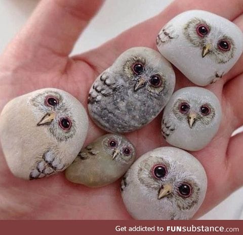 Owl stones