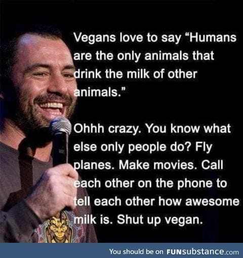 Joe rogan