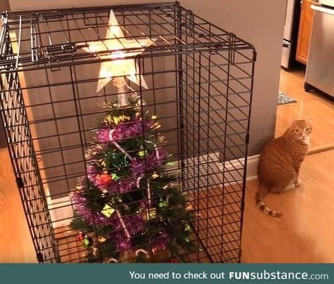 Cat-proofing Christmas