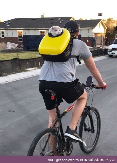 Going on a bike ride with the cat