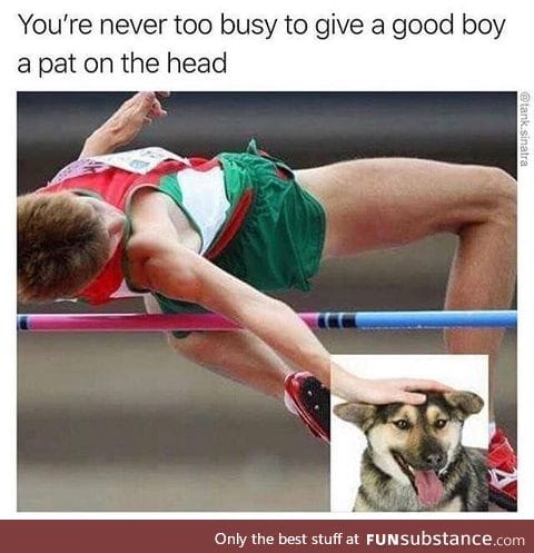 Good boi