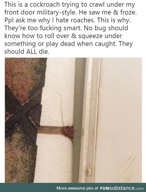 Smart c*ckroaches