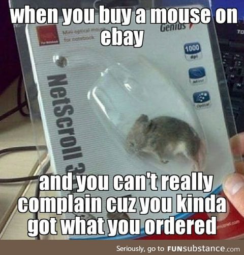 Deadmouse