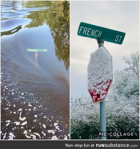 Texas, Bipolar Weather champion