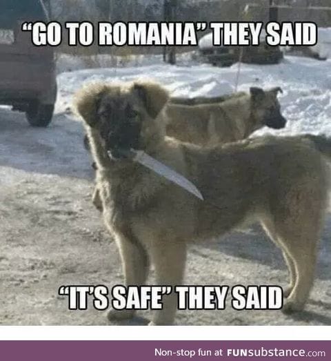 Come to romania !!!