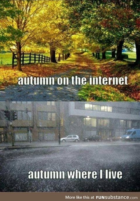 Autumn ain't so beautiful