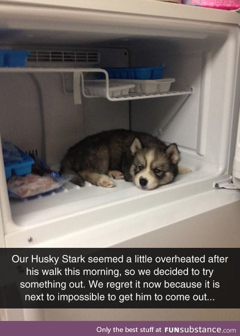 Now he wants to live in the fridge