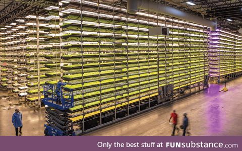 Indoor vertical farm