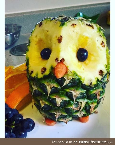 Pineapple owl