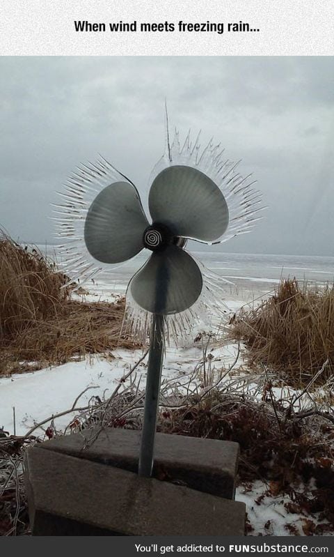 Wind vs. Freezing rain