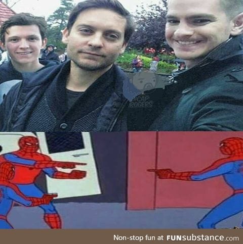 Spideyverse