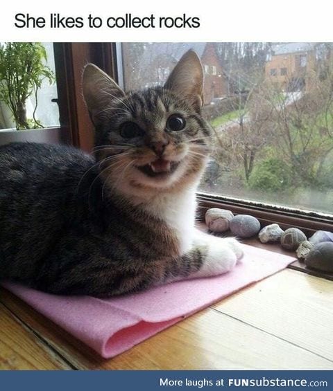 Floofy rock collector