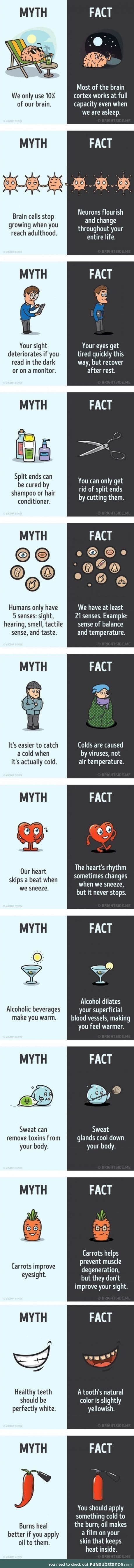 Myths and facts