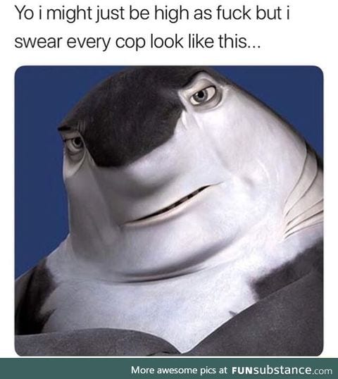 Does a cop look like this?