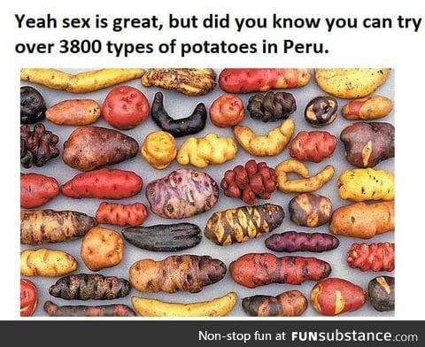 Sexy potatoes