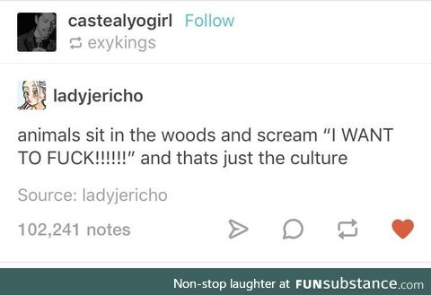 Respect the culture