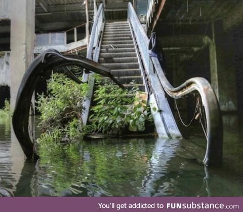 Nature reclaiming mall after it was abandoned