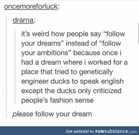 Follow your dream yo